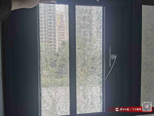 今日关注 家中玻璃被钢珠击碎居民每日担惊受怕